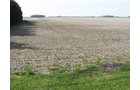 Property photo 29 - 172 Acres Offered in 3 Tracts - Prime Farmland